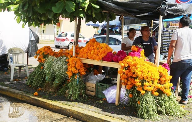 Día de Muertos: Cempasúchil llena de color esta calle en Coatzacoalcos | VIDEO