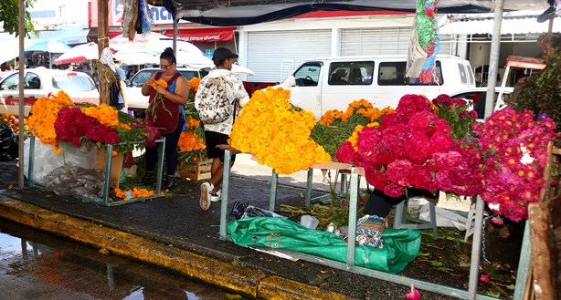 Día de Muertos: Cempasúchil llena de color esta calle en Coatzacoalcos | VIDEO