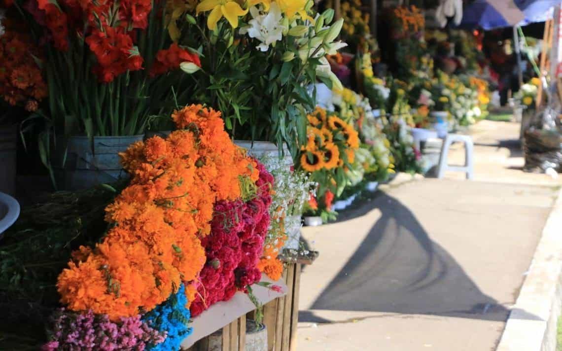 Aumenta la venta de flores tradicionales del Día de Muertos en Veracruz