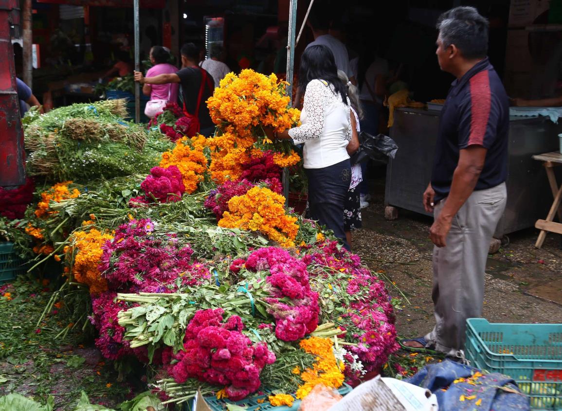 En estos precios se consiguen las flores poblanas en Coatzacoalcos