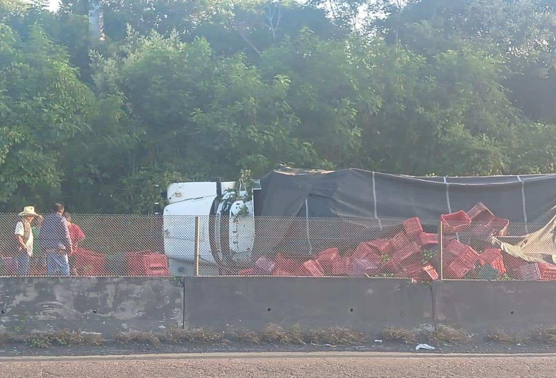 Rapiñan camión de limones que volcó al pasar un bache en Emiliano Zapata, Veracruz | VIDEO