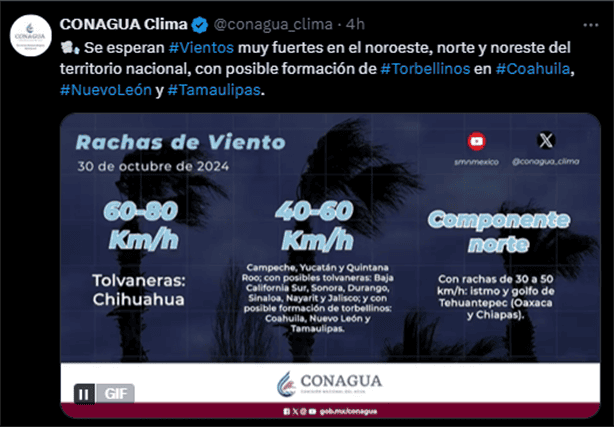 Primera tormenta invernal llegará a México; ¿cuándo y cuántas habrá esta temporada?