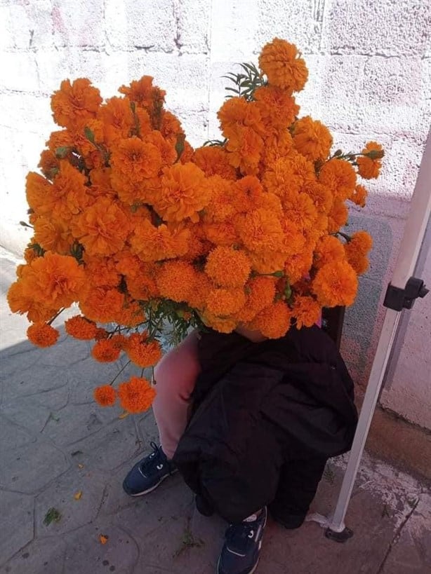 Previo al Día de Muertos este es el precio de la flor de cempasúchil en Veracruz