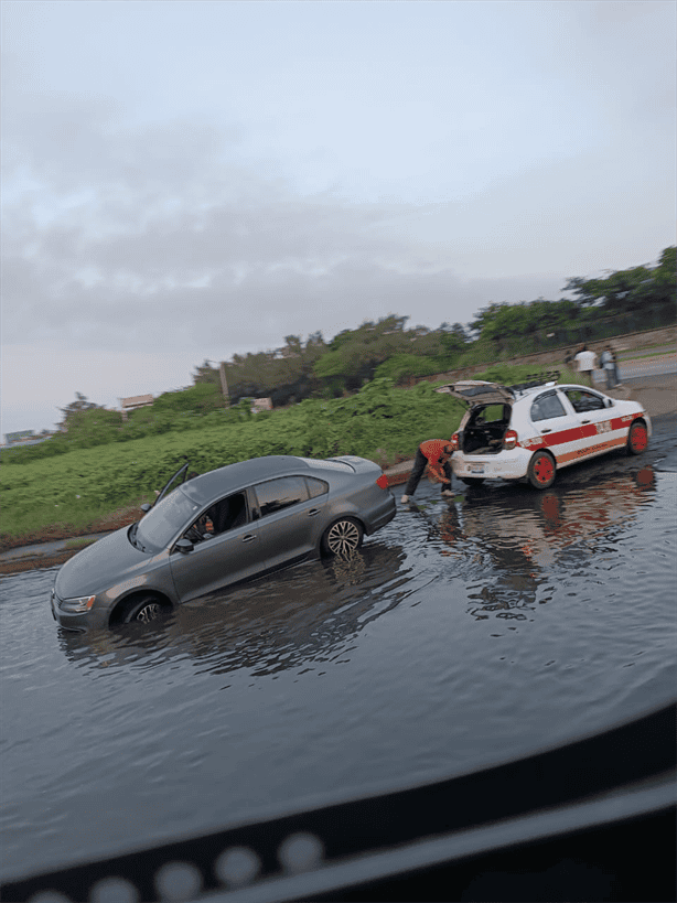 Vecinos de la colonia Miguel Alemán piden desazolve urgente tras inundación en Veracruz