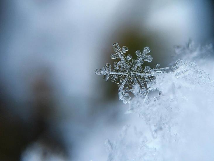 Dónde ver nieve en México, descubre una blanca Navidad mexicana