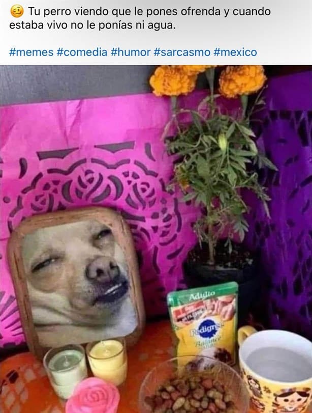 Estos son los mejores memes para celebrar Halloween y Día de Muertos