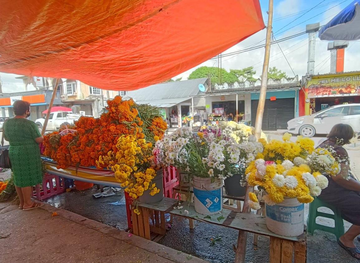 Sorprende alto costo de la flor de cempasúchil en Villa Cuichapa | VIDEO