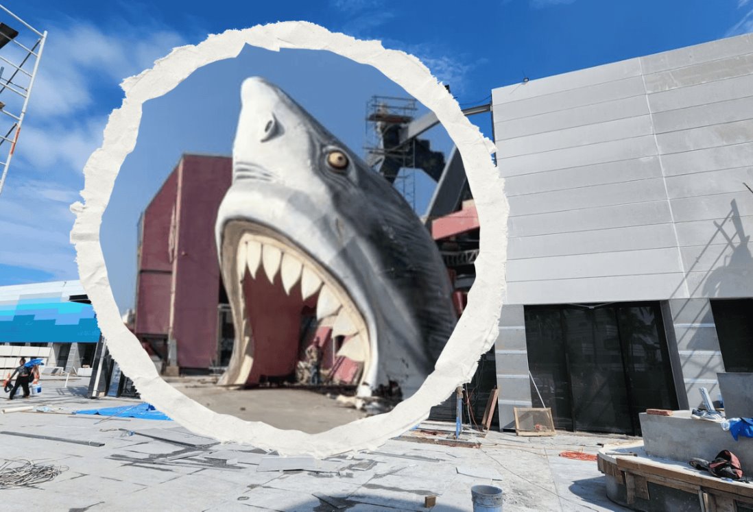 Así avanza la colocación de la cabeza colosal de Tiburones Rojos en el acuario de Veracruz