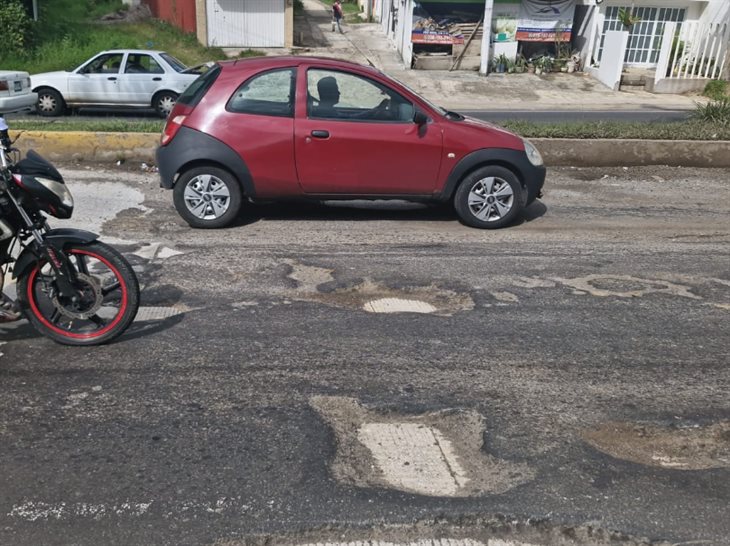 ¿Baches o cráteres?, carretera Xalapa-Coatepec sigue en pésimo estado