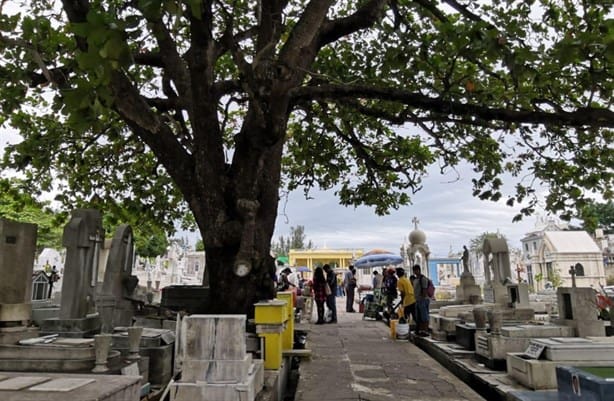 Cuánto cobra un taxi de la colonia Centro al panteón de Veracruz