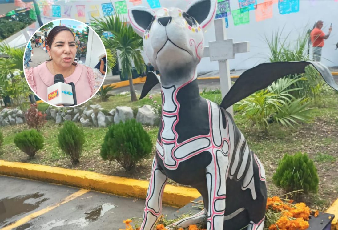 Panteones del puerto de Veracruz esperan recibir más de 50 mil personas en Día de Muertos