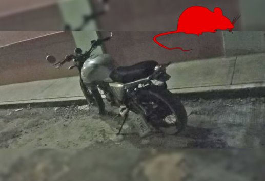 ¡De nuevo! roban motocicleta en la avenida Alfonso Arroyo de Misantla