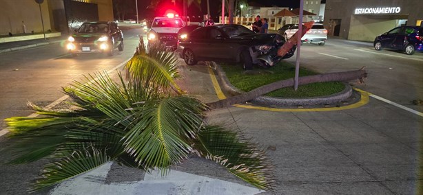 Joven choca su automovil contra una palmera en bulevar Manuel Ávila Camacho de Boca del Río