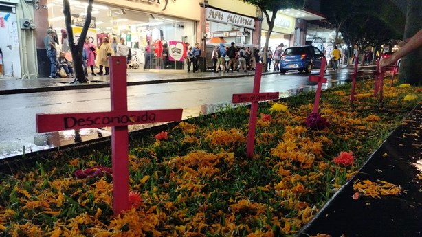 Por las que nos arrebataron, Marea Verde coloca antiofrenda en Orizaba