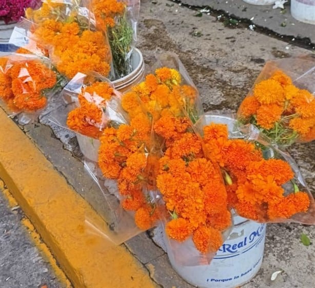 Vendedores de flores en Veracruz prevén un repunte del 90% por celebración de Día de Muertos