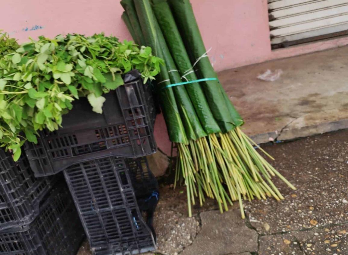 Nanchital se quedó sin hojas para tamales, esto es lo que usaron