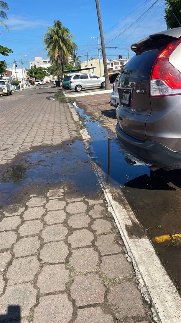 Vecinos de la colonia Petrolera exigen se resuelva problema de aguas negras | VIDEO