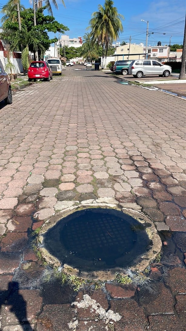 Vecinos de la colonia Petrolera exigen se resuelva problema de aguas negras | VIDEO