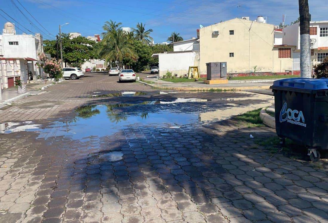 Vecinos de la colonia Petrolera exigen se resuelva problema de aguas negras | VIDEO