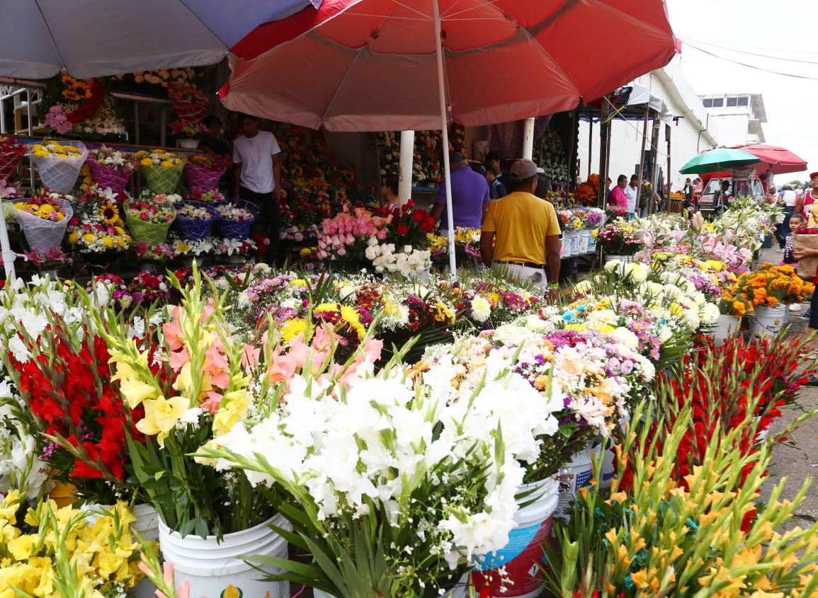 Día de Muertos: Así va la venta de flores en el Panteón Antiguo de Coatzacoalcos, conoce los precios  I VIDEO