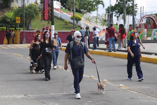 Misantla vibra con desfile de calaveras por Día de Muertos