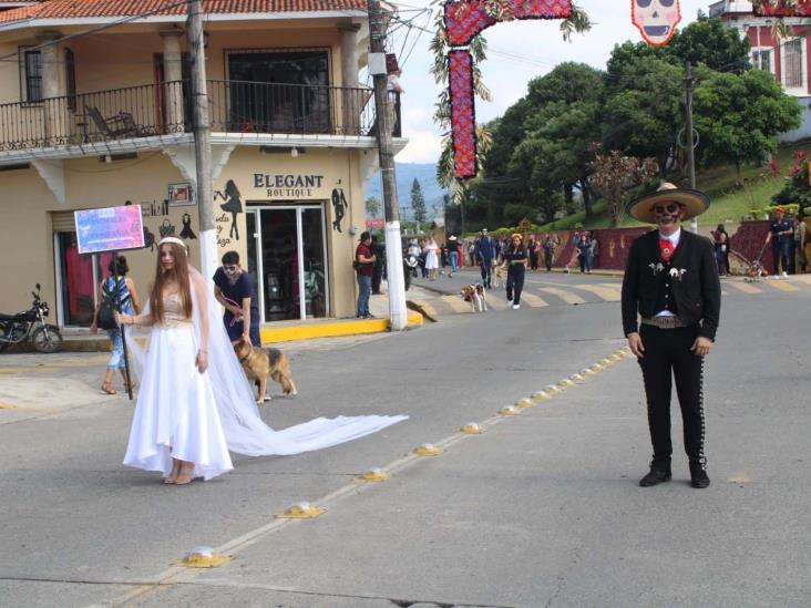 Misantla vibra con desfile de calaveras por Día de Muertos