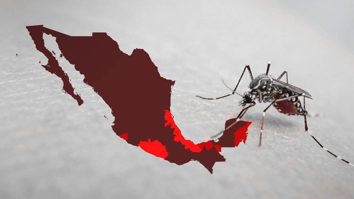 Veracruz, el tercer estado con más casos de contagios por dengue este 2024