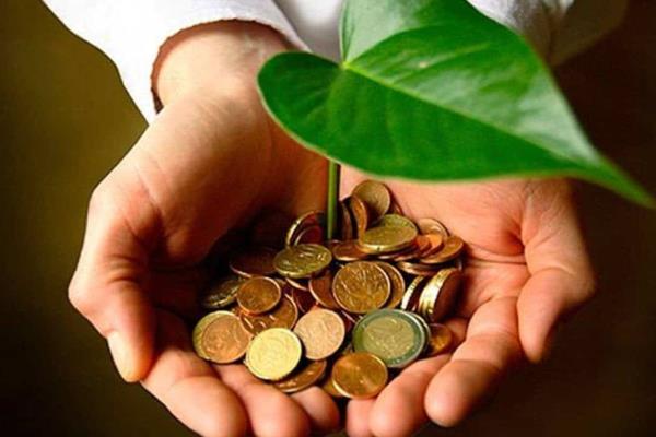 Bioeconomía circular residuos que valen