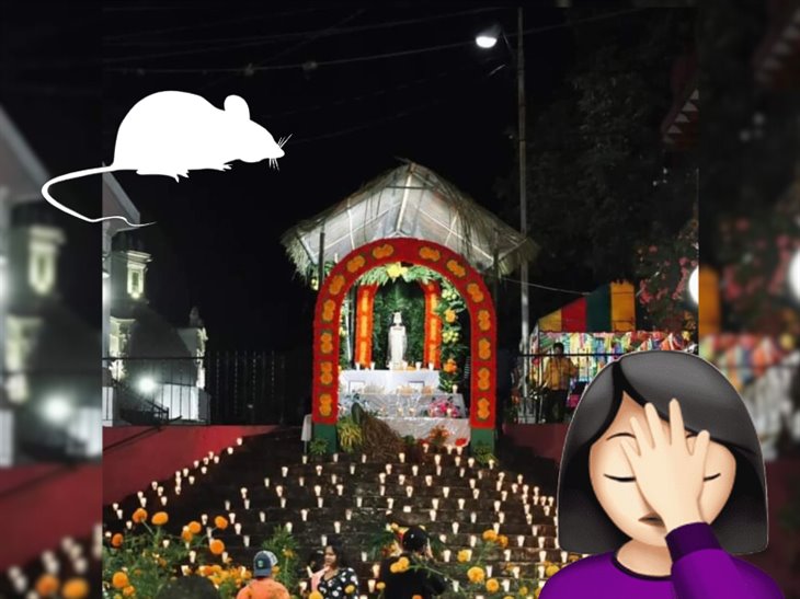 ¡Ofrenda no se salvó! roban objetos en altar de muertos en Misantla