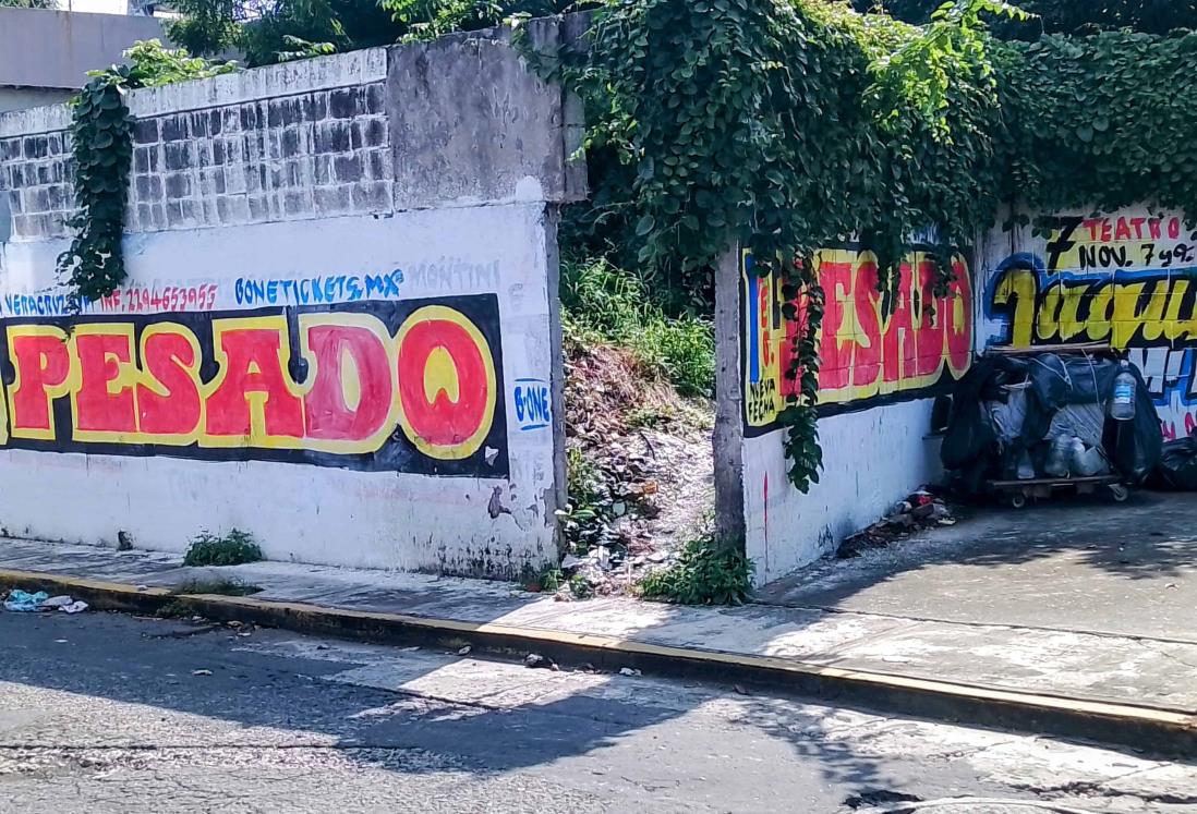 Terreno abandonado es usado por indigentes en colonia Electricistas en Veracruz