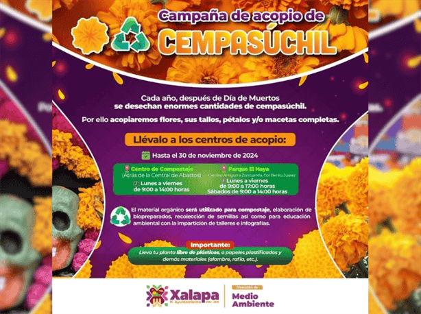 ¡No las tires! en estos centros de acopio en Xalapa podrás llevar tus flores de cempasúchil 