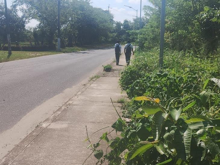 Urgen saneamiento y limpieza en colonia de Las Choapas ¡es un foco de infección!