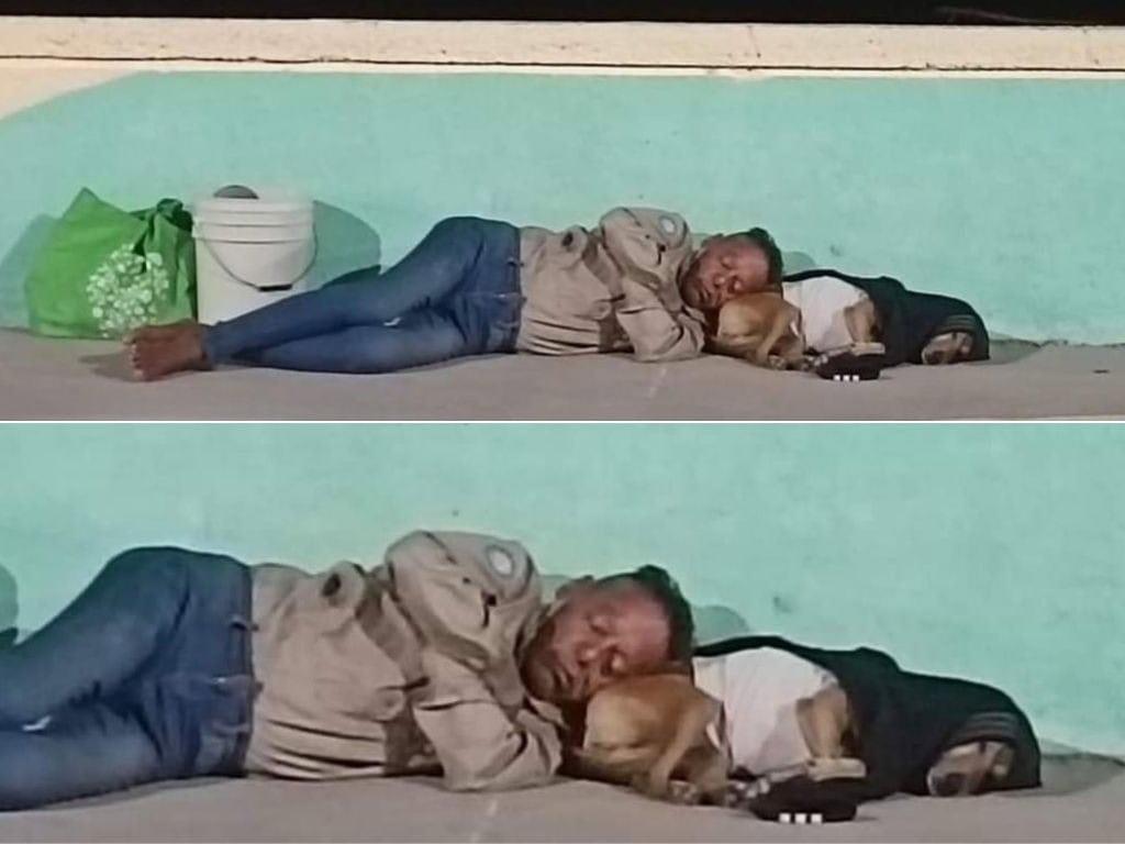 Hombre cuida y duerme con su perrito en el Malecón de Coatzacoalcos: FOTO se viraliza