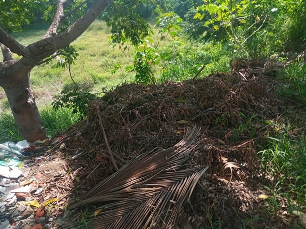 Parque "El Hoyo", en la unidad habitacional El Coyol es usado como basurero