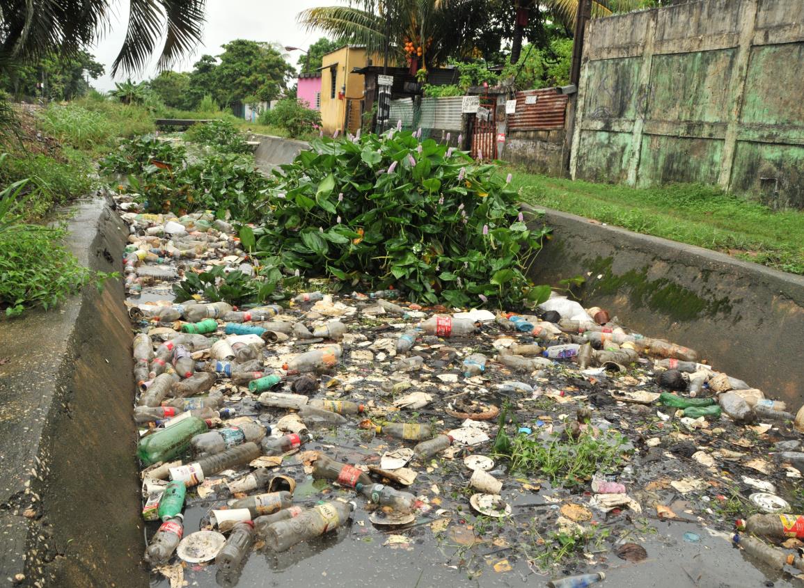 Urge cultura del buen manejo de residuos sólidos en Coatzacoalcos: Ecokaans