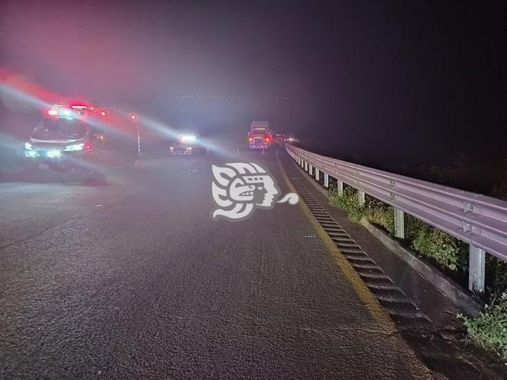 Camión tortón cae a un barranco en Maltrata; hay un fallecido