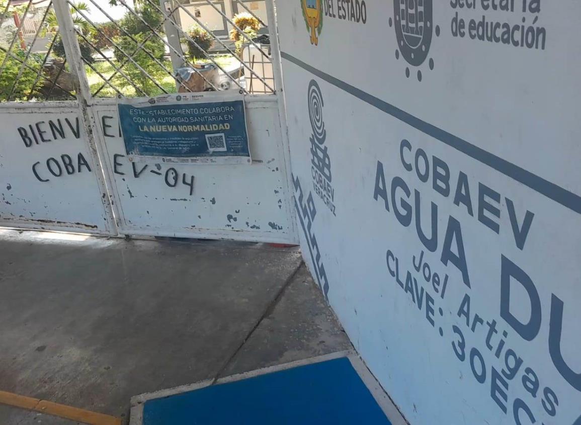 Cobaev de Agua Dulce: ¿perdiste tu certificado? Así puedes tramitar un duplicado