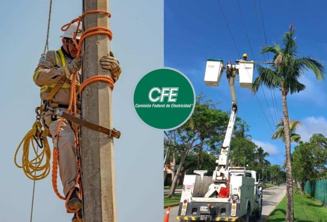 ¿Se fue la luz en tu colonia? Así debes hacer el reporte ante CFE