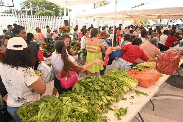 Realiza Paty Lobeira la entrega de despensas del Programa Alimentario Municipal a vecinos de Vista Mar