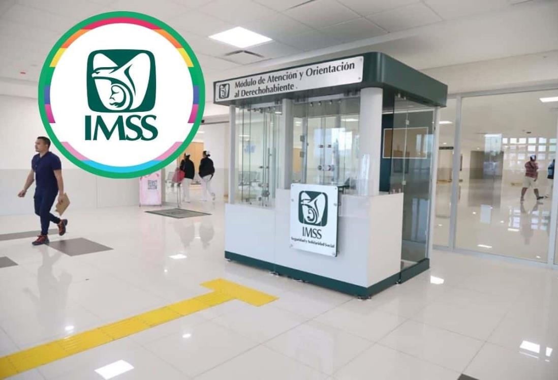 Así puedes cobrar una incapacidad del IMSS por internet | Paso a paso