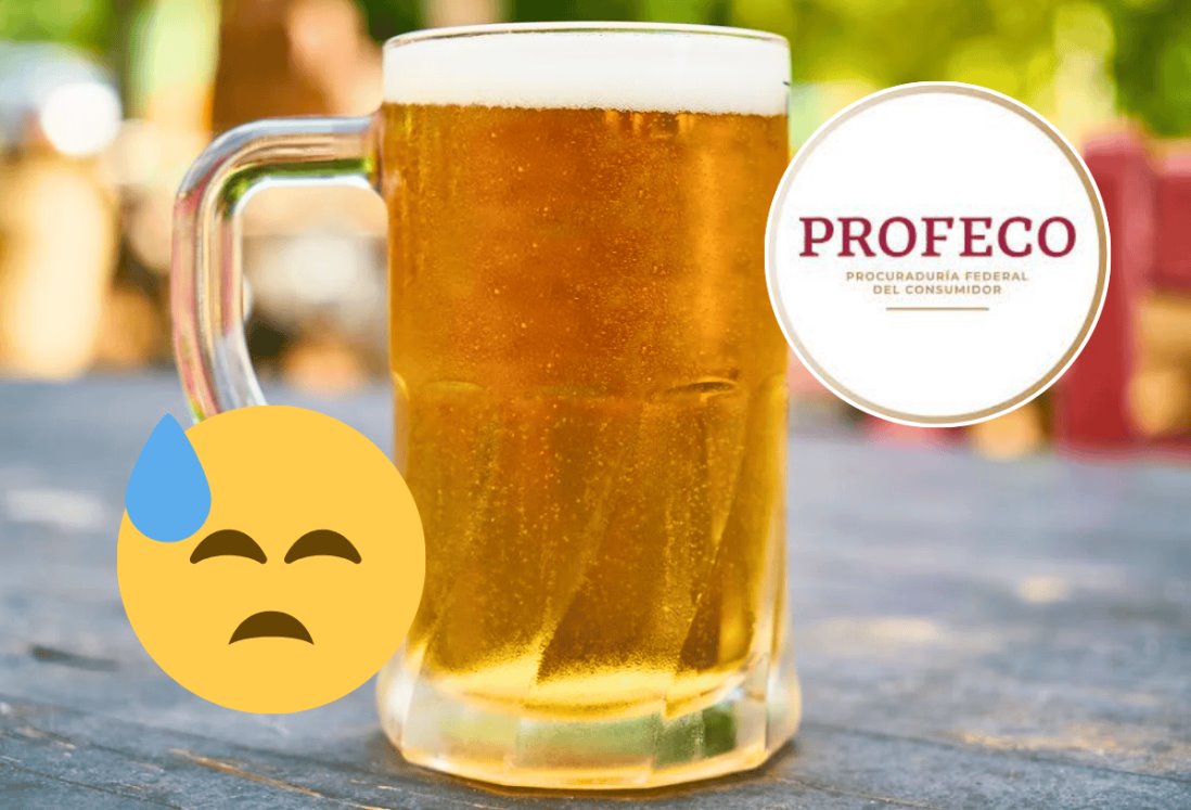 ¿Andas con sed? Descubre la mejor cerveza según la Profeco