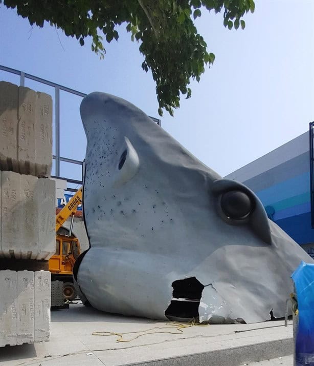 Del estadio al Acuario, colocan cabezas de tiburón