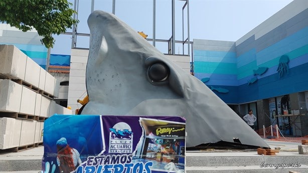 Del estadio al Acuario, colocan cabezas de tiburón