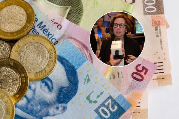 Organizaciones pueden ampliar su perspectiva economica al planificar para largo plazo: especialista