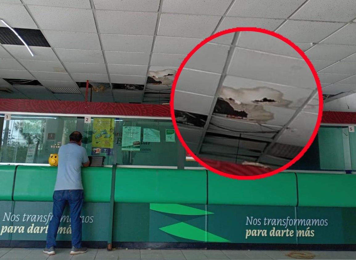 Financiera del Bienestar Coatzacoalcos se cae a pedazos, denuncian ciudadanos I FOTOS