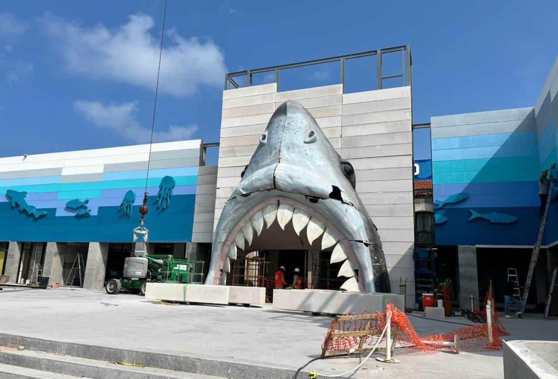 Cabeza gigante de Tiburón ya es atractivo turístico en plaza Acuario de Veracruz