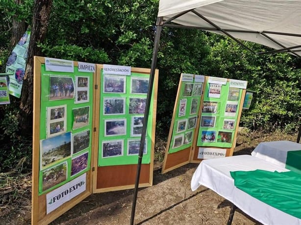 Grupos ambientalistas realizan limpieza en manglar Arroyo Moreno, en Boca del Río