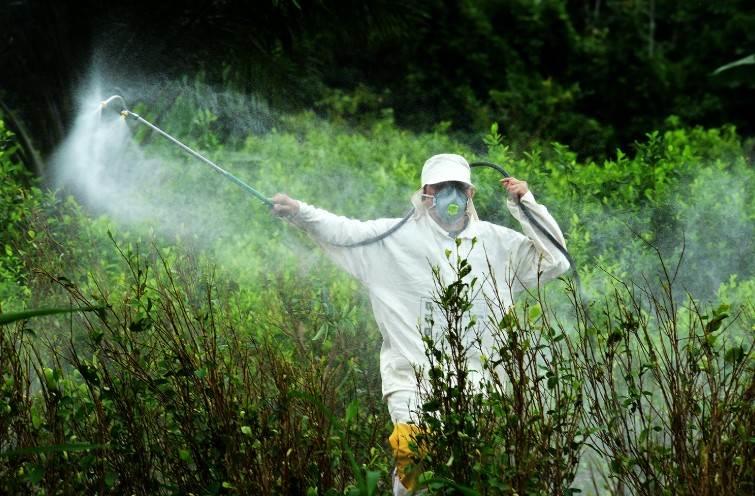 Herbicida glifosato pone en peligro al campo veracruzano y la salud de los niños