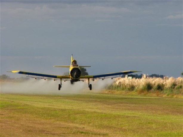 Herbicida glifosato pone en peligro al campo veracruzano y la salud de los niños