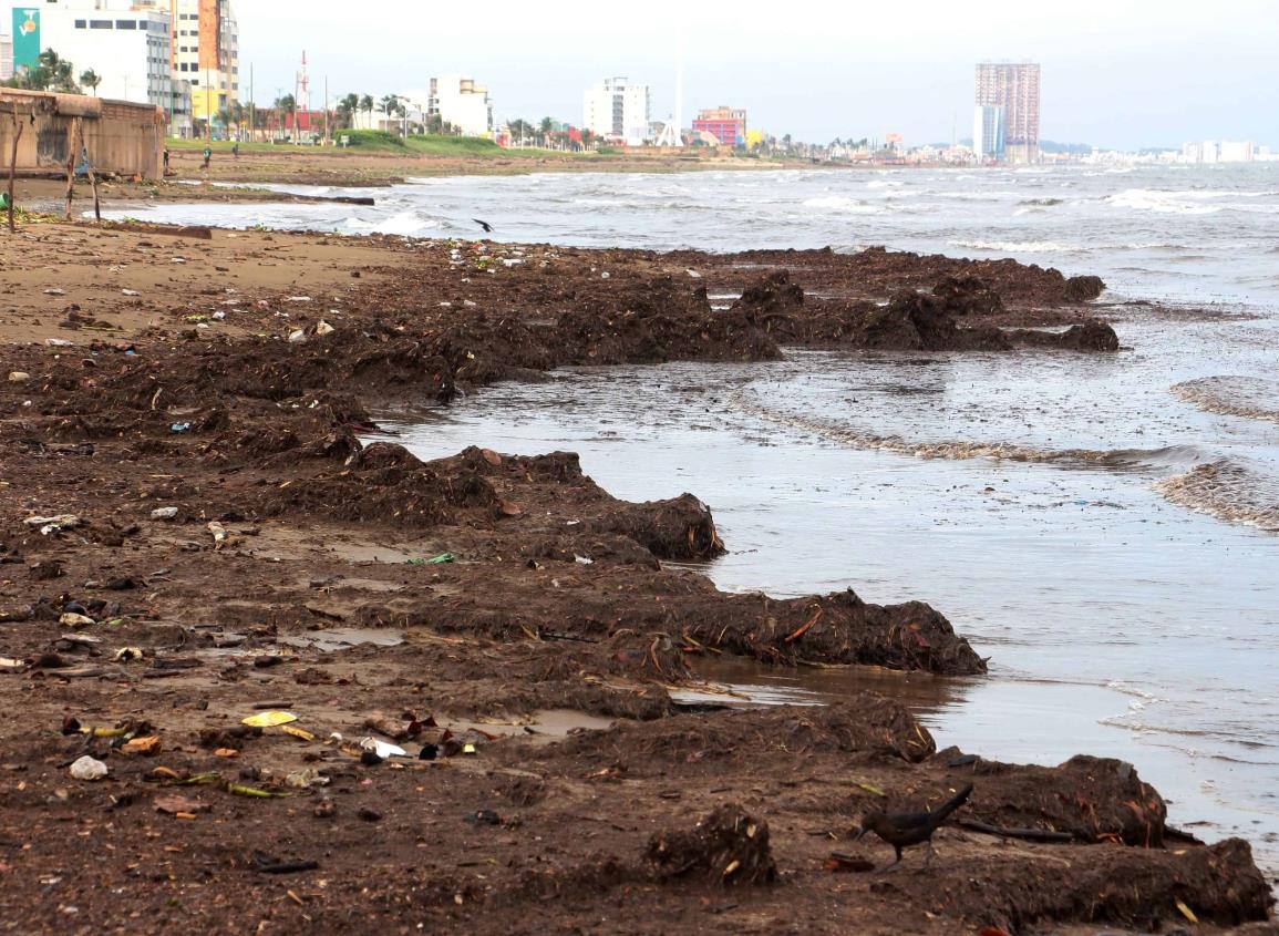 Nuevo ciclón podría formarse en el Caribe; en esta fecha afectaría a México